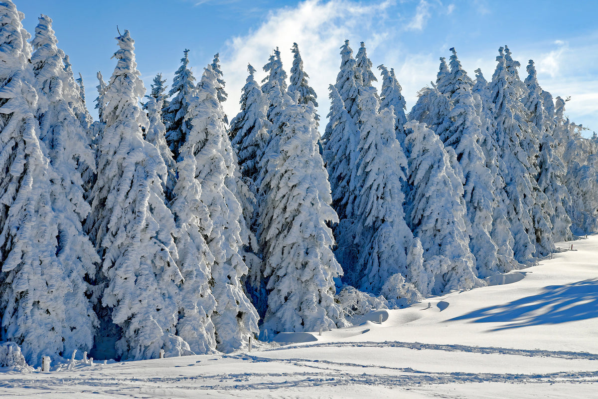framedcanvas-print-beautiful-winter-landscape