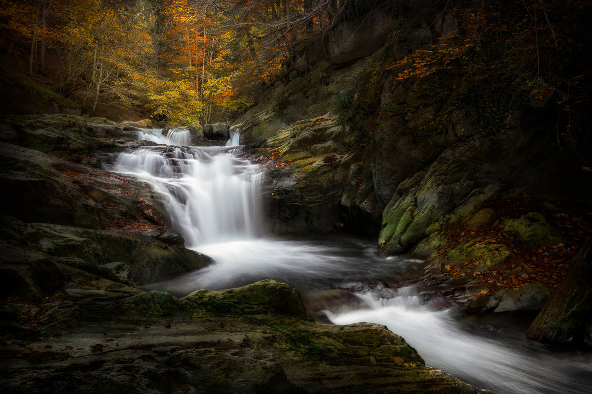 framedcanvas-print-irati-jungle-x