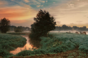 framedposter-print-foggy-dream-x