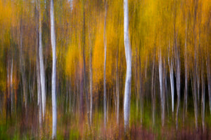 modern-3-piece-canvas-print-abstract-fall