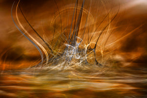 framedposter-print-the-rising-x