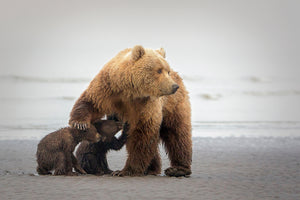 modern-3-piece-canvas-print-family-time