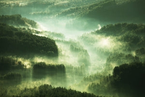 3-piece-canvas-print-over-the-woods