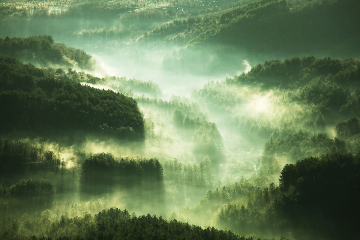 3-piece-canvas-print-over-the-woods