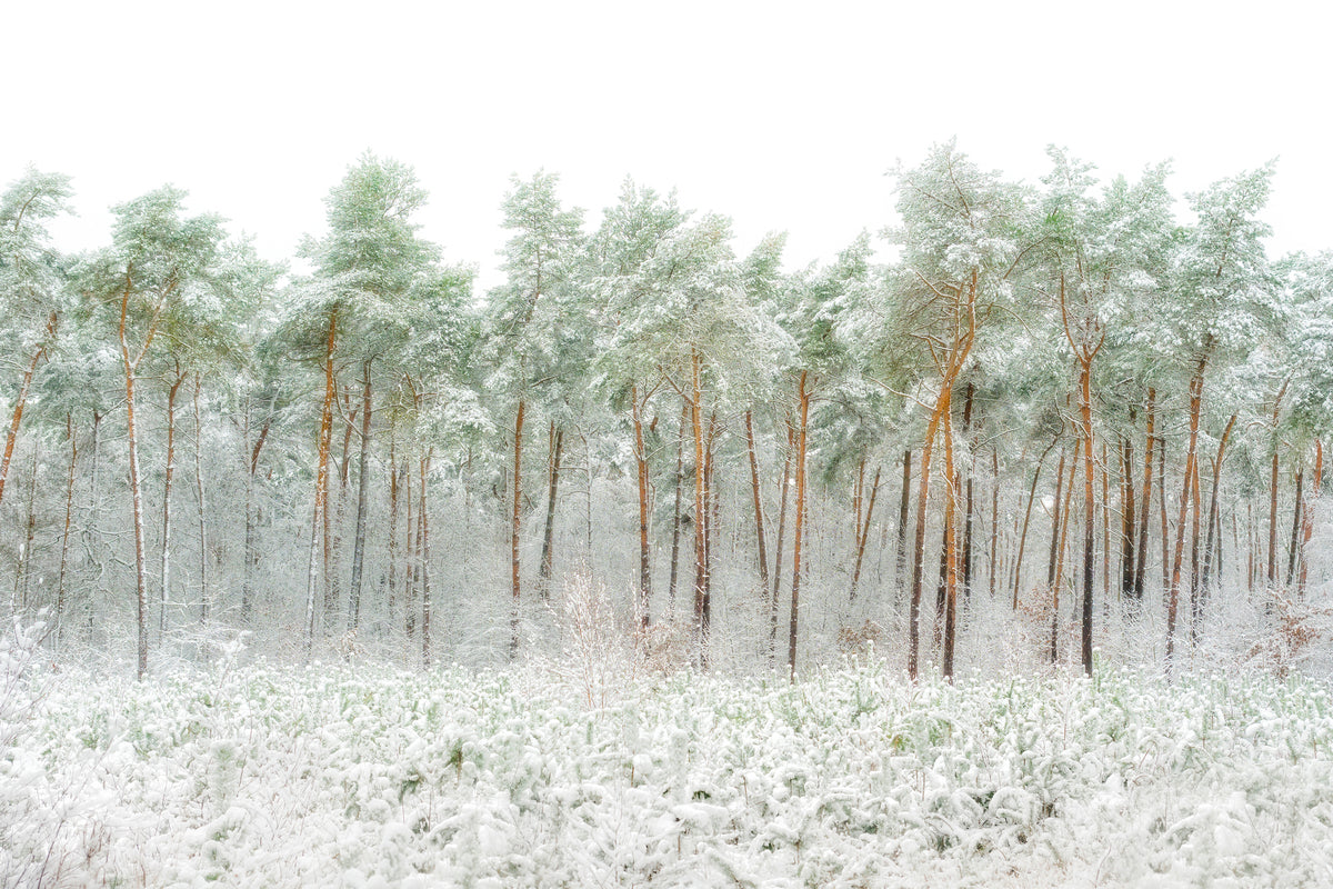 modern-3-piece-aluminium-print-snow-world