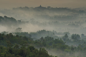 aluminium-print-temple-in-the-mist