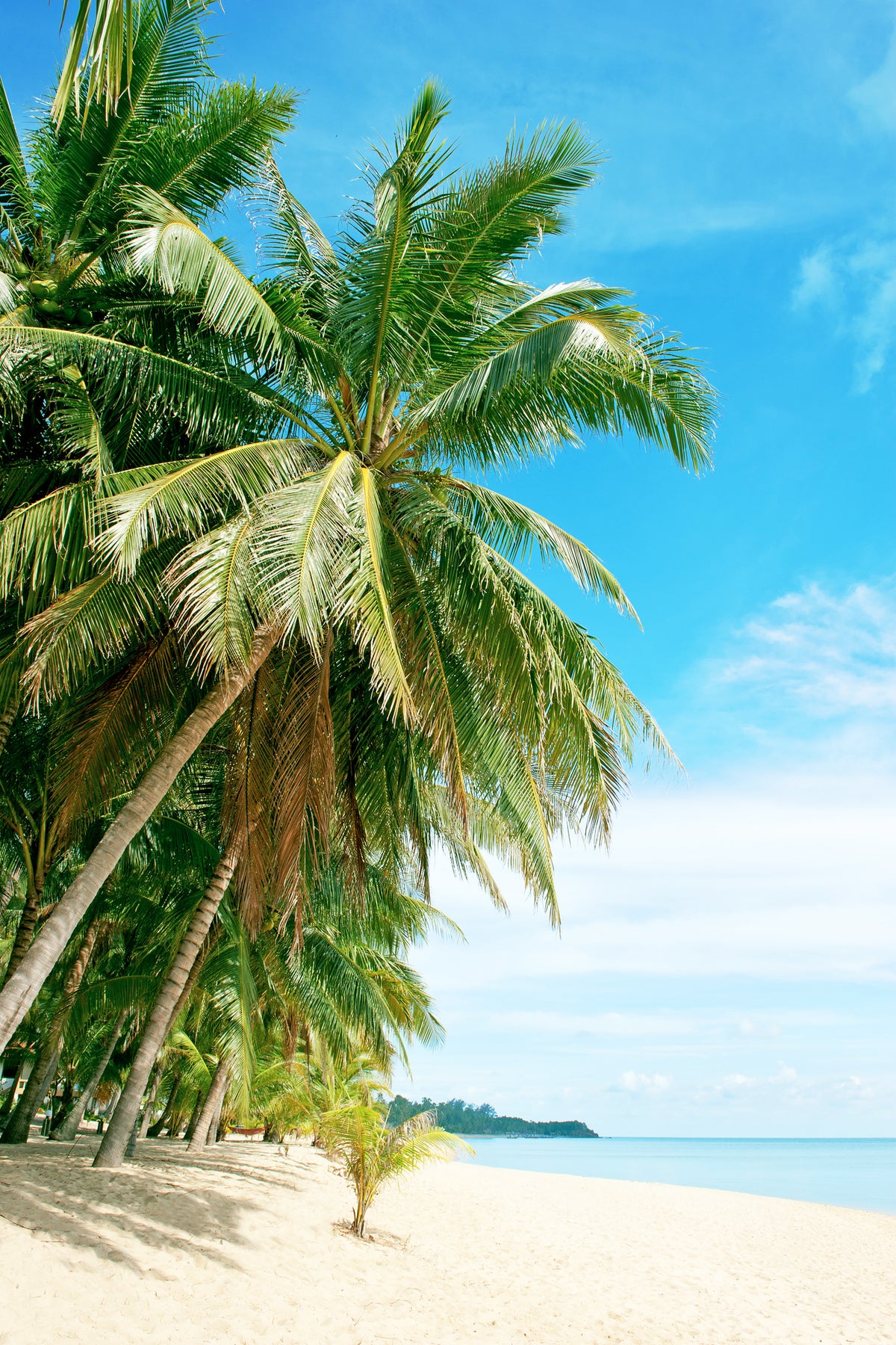 aluminium-print-a-island-dream