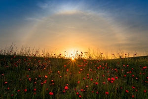 3-piece-canvas-print-red-poppies-and-sunrise