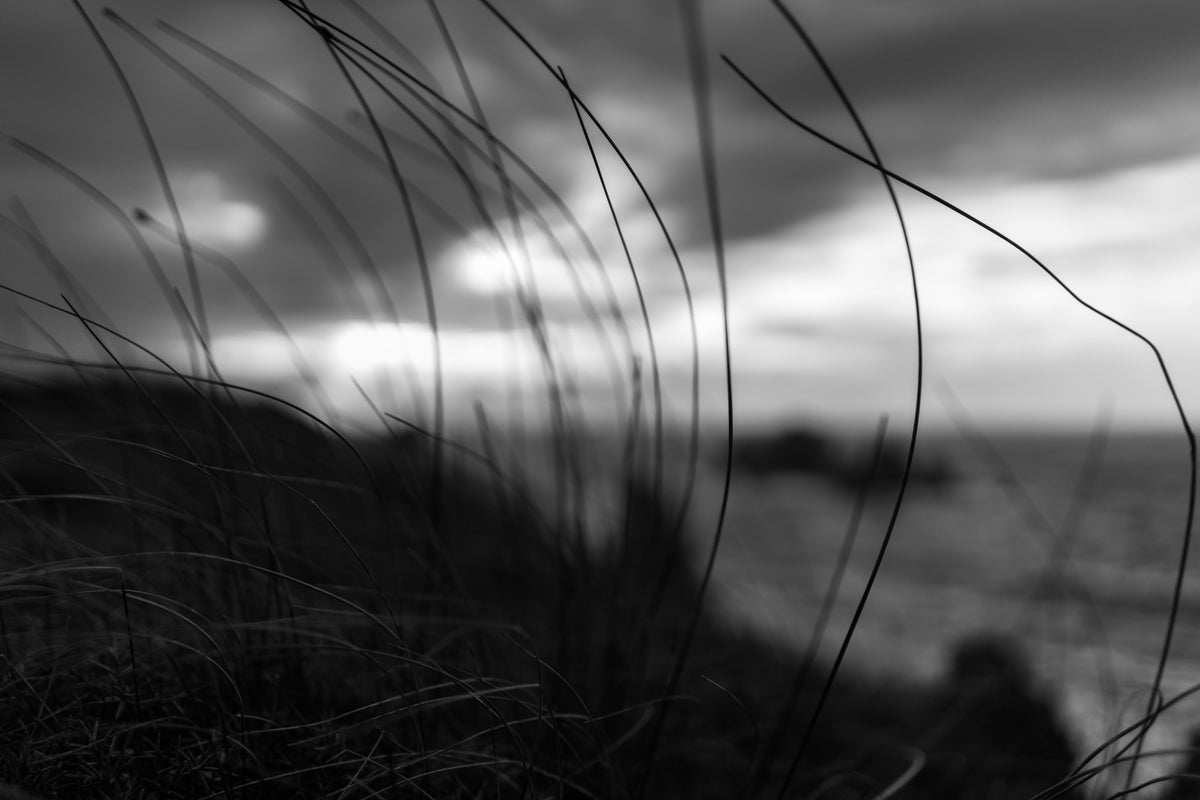 aluminium-print-the-wind-brings-the-night