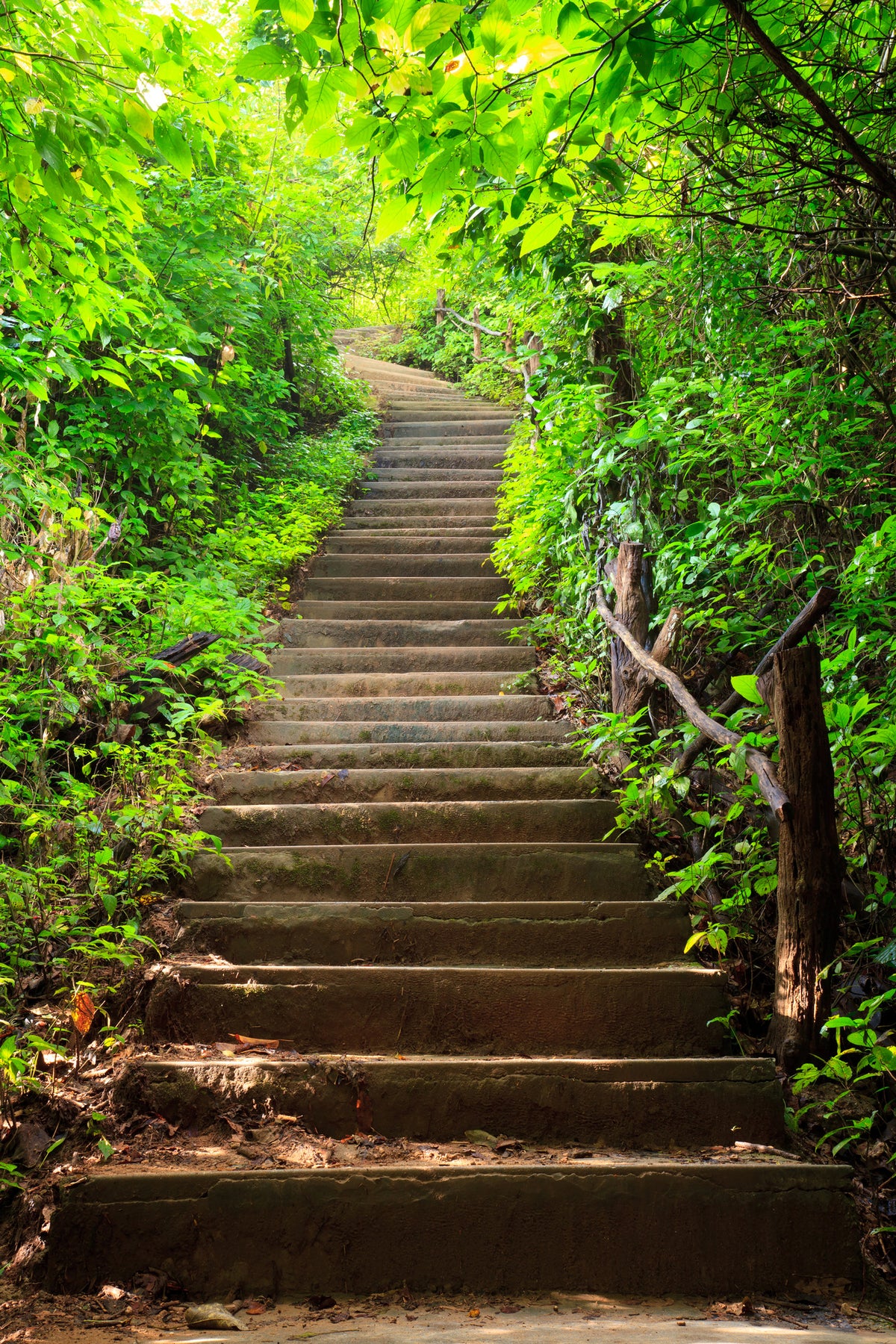 aluminium-print-wood-stairs