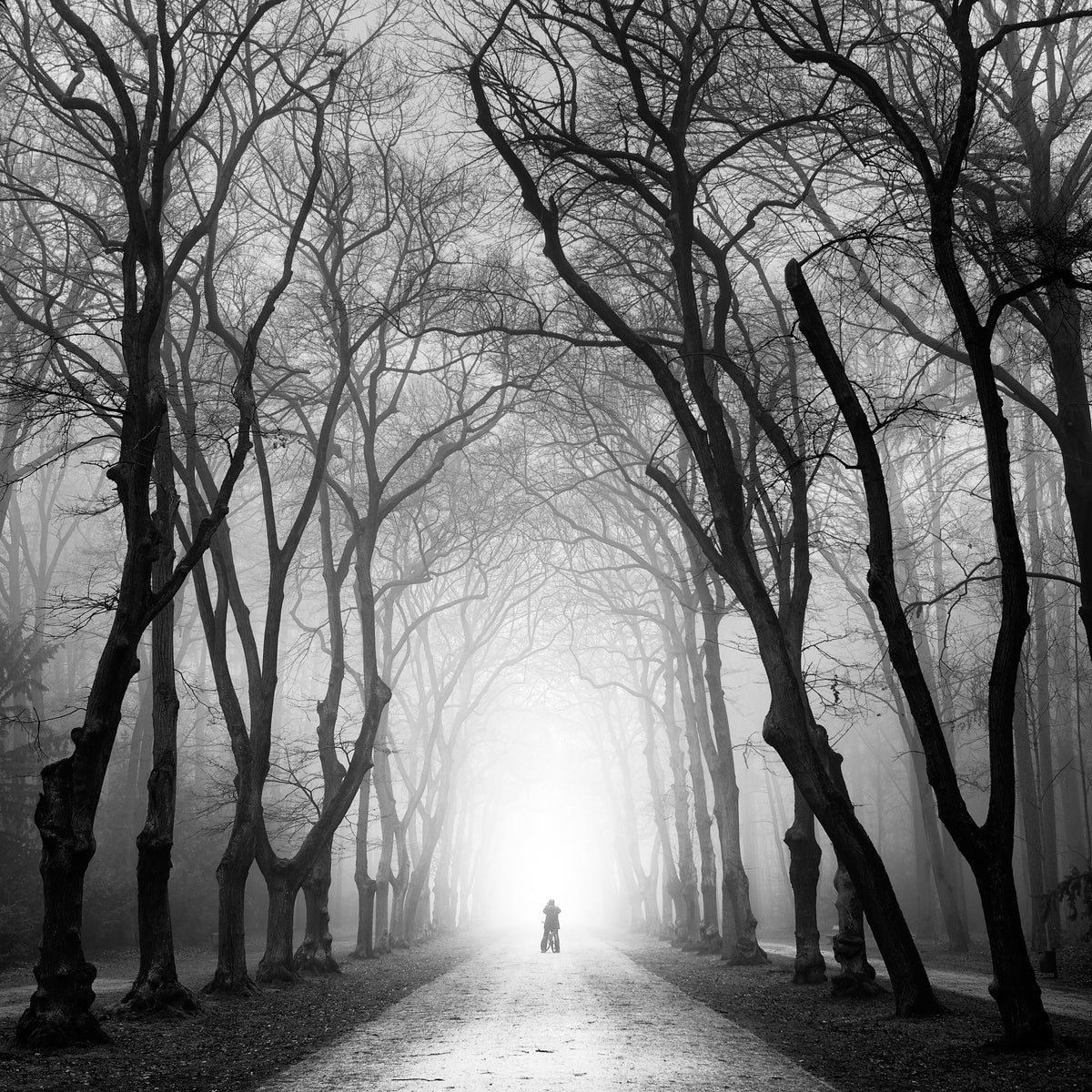 canvas-print-cyclist