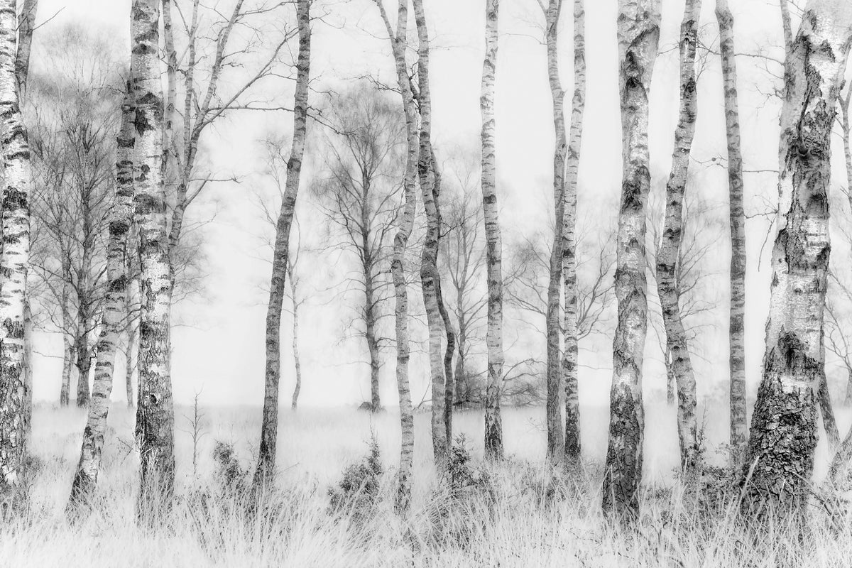 canvas-print-black-and-white