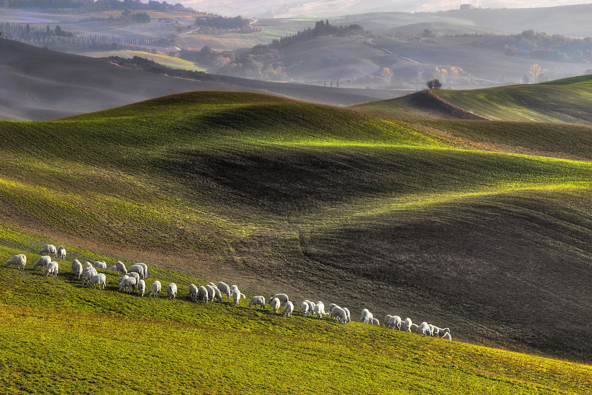 canvas-print-pastoral-x
