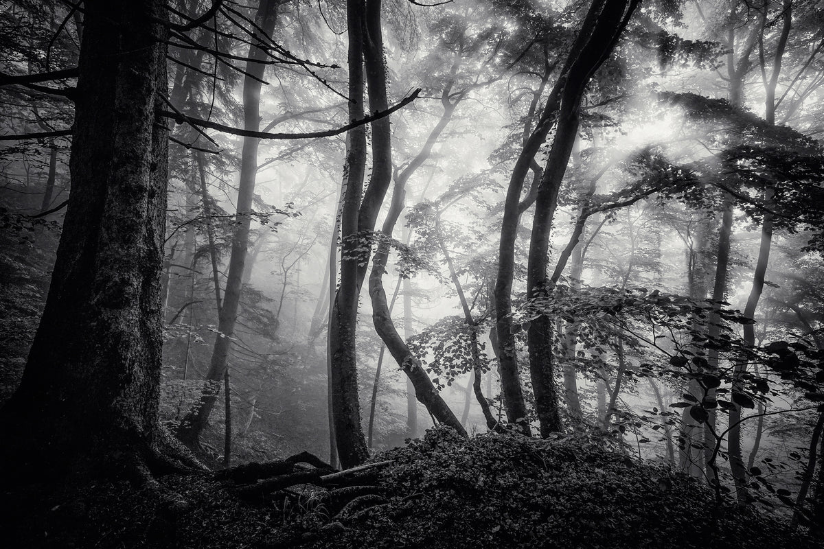 canvas-print-mysterious-light