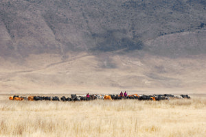 3-piece-acrylic-print-incredible-maasai