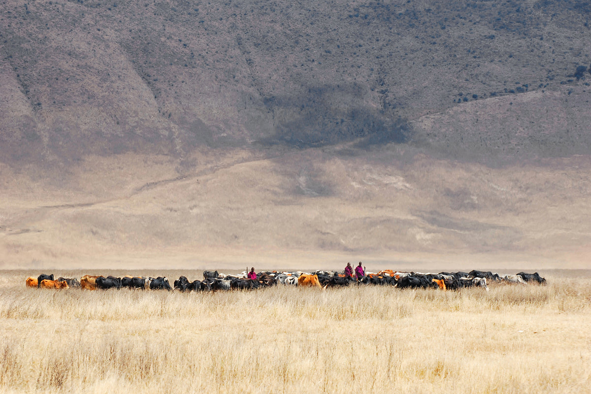 3-piece-acrylic-print-incredible-maasai