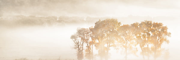 panoramic-3-piece-acrylic-print-autumn-dreams-panorama