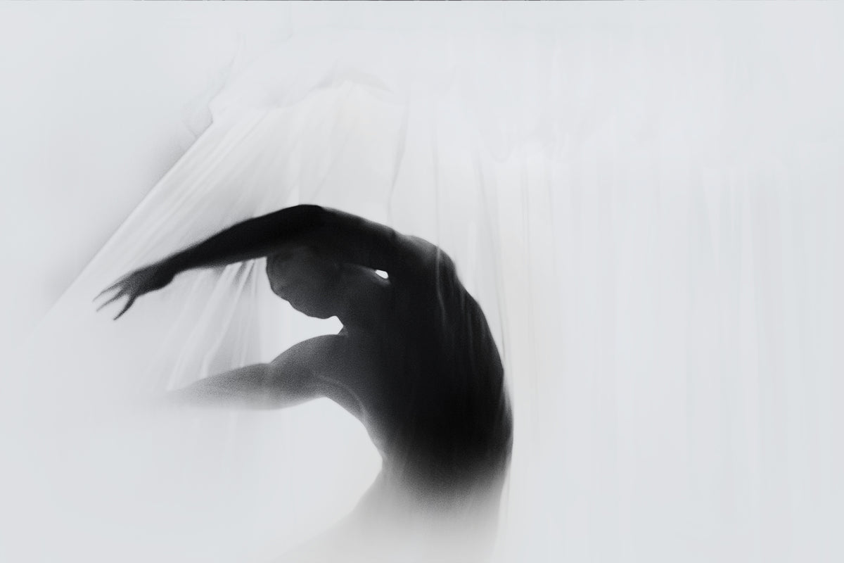 framedcanvas-print-the-dance-of-silence