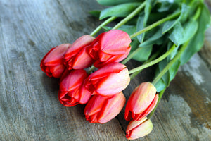 modern-3-piece-aluminium-print-the-red-tulip-bouquet