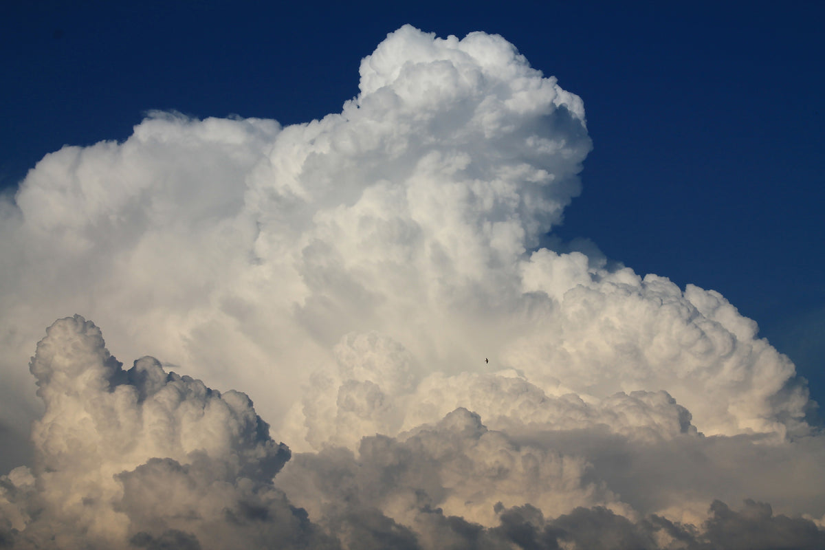 framedcanvas-print-the-cumulus-cloud