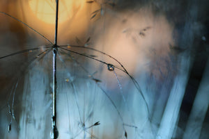 3-piece-aluminium-print-almost-dark