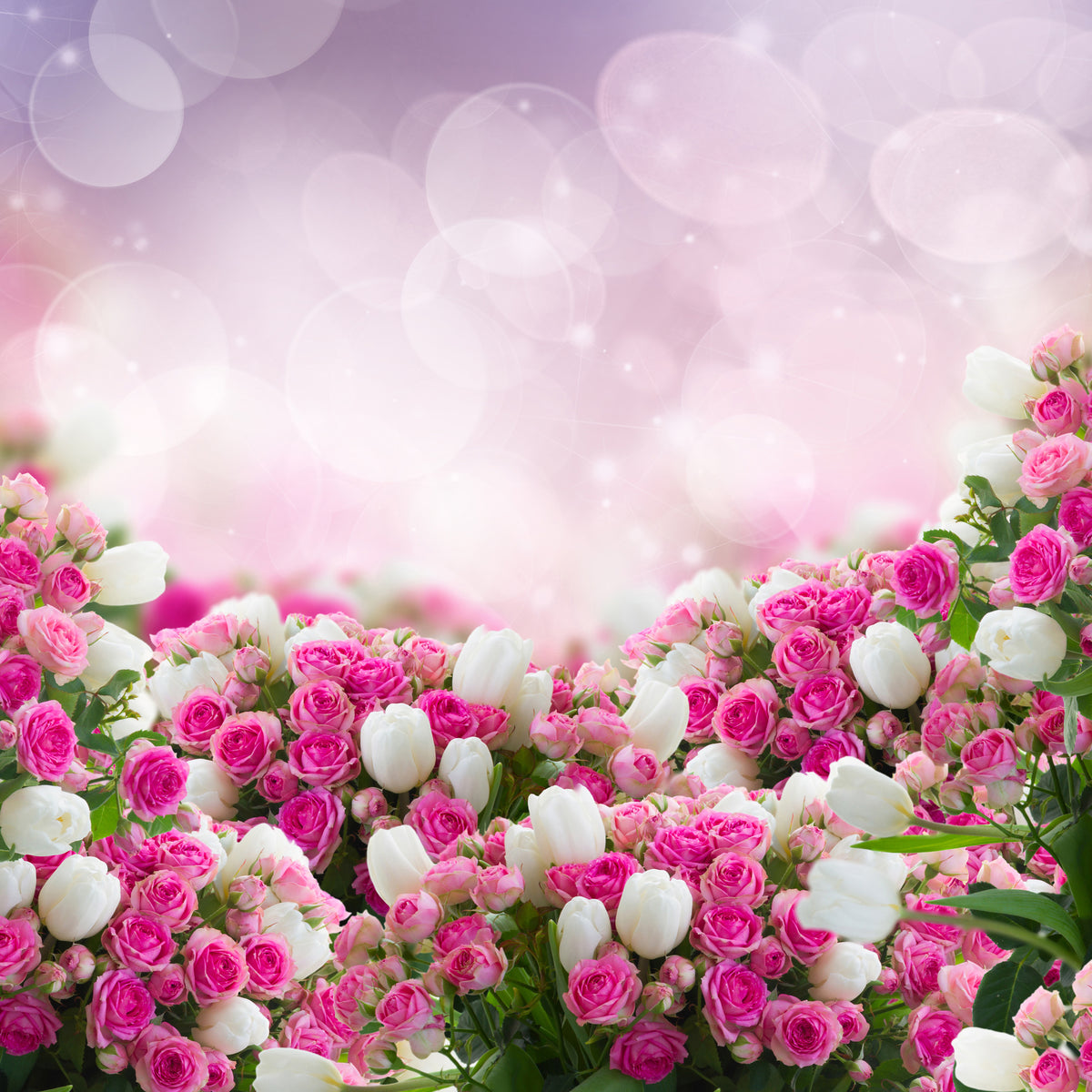 4-piece-canvas-print-fable-roses