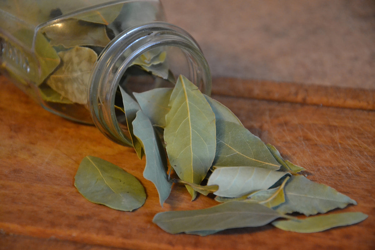 3-piece-canvas-print-bay-leaves