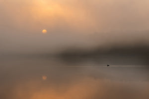poster-print-autumn-fog-over-the-water
