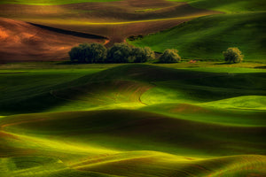 3-piece-aluminium-print-spring-in-the-palouse