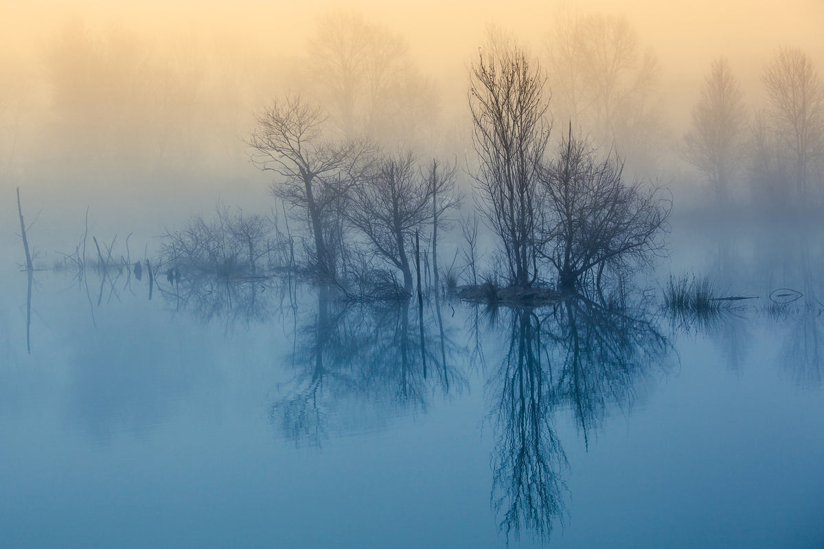 acrylic-print-morning-reflection-ii