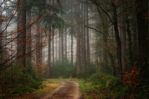 framedposter-print-reveries-x