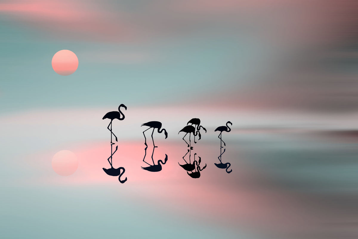 poster-print-family-flamingos-x
