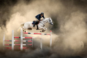 canvas-print-white-horse-x