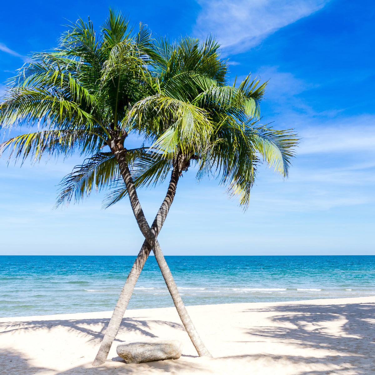 canvas-print-dream-beach-caribbean