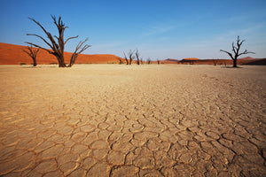 canvas-print-desert