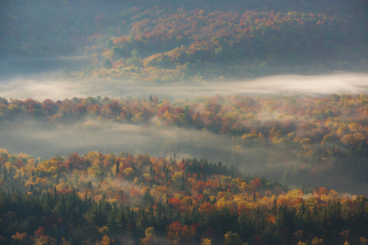 3-piece-canvas-print-misty-morning-ii-a