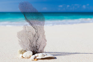 poster-print-beach-art
