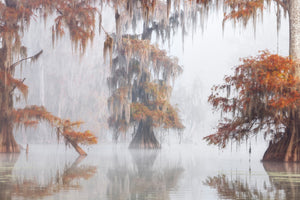 framedcanvas-print-mysty-bayou-x