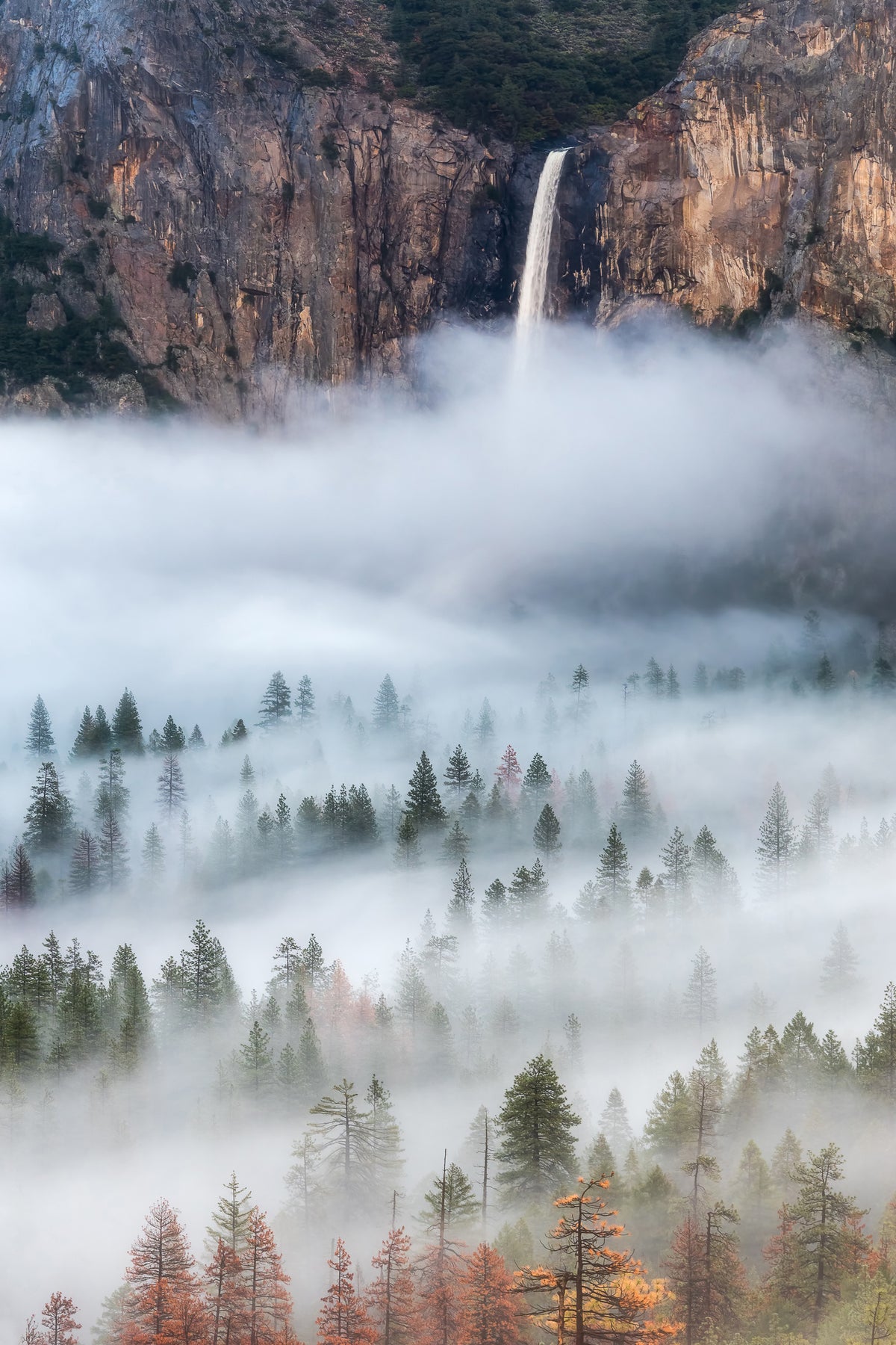 poster-print-mist-falls