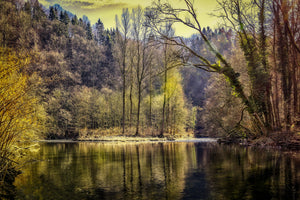 framedposter-print-lake-in-the-forest