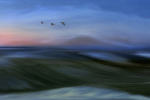 acrylic-print-migrants-x