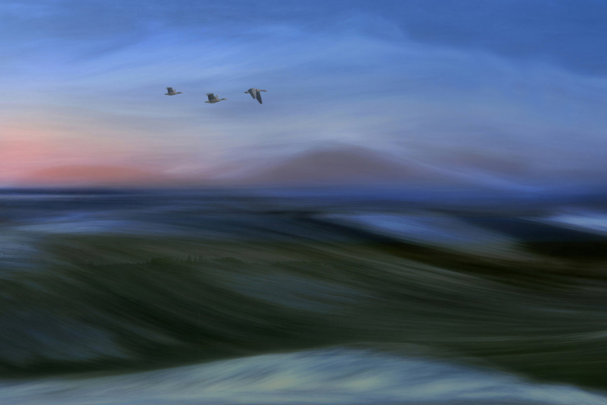 acrylic-print-migrants-x