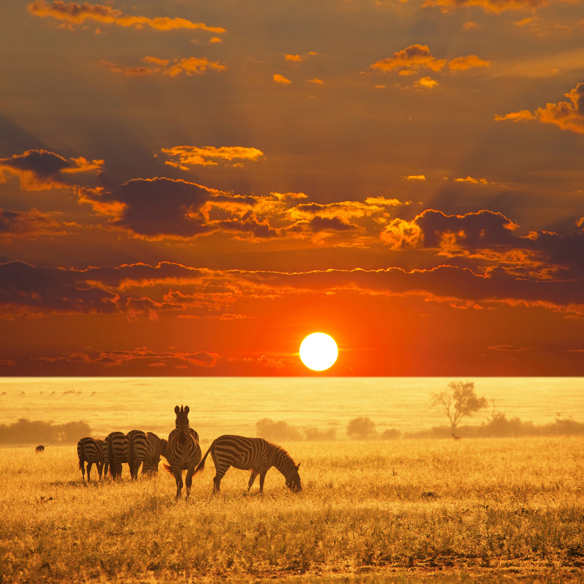 9-piece-canvas-print-seregenti-national-park
