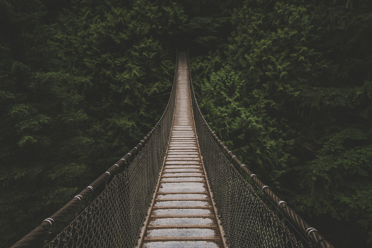 poster-print-exciting-bridge