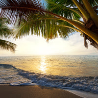 acrylic-print-beach-view
