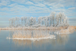 framedposter-print-winter-xfq