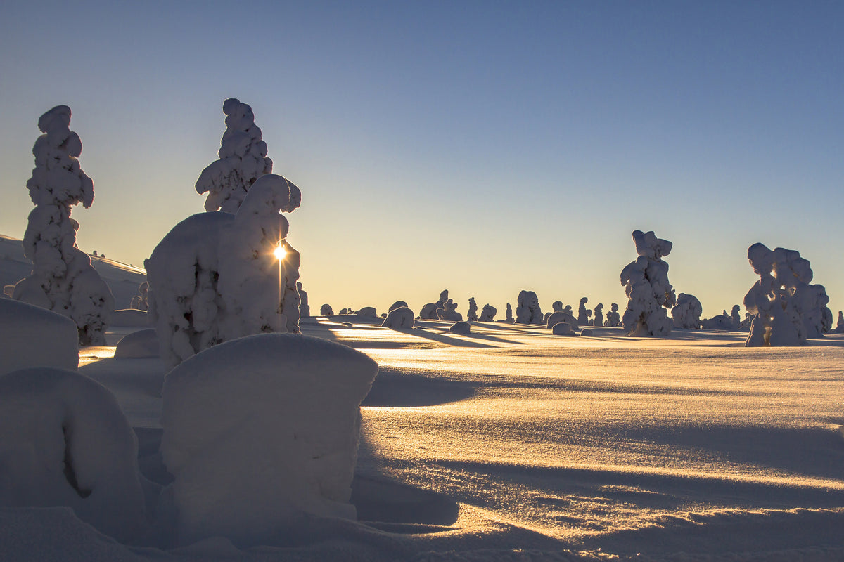 framedcanvas-print-in-lapland
