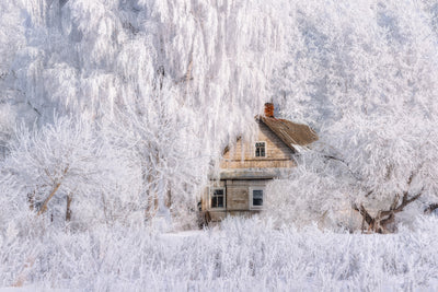 poster-print-winter-tale-x