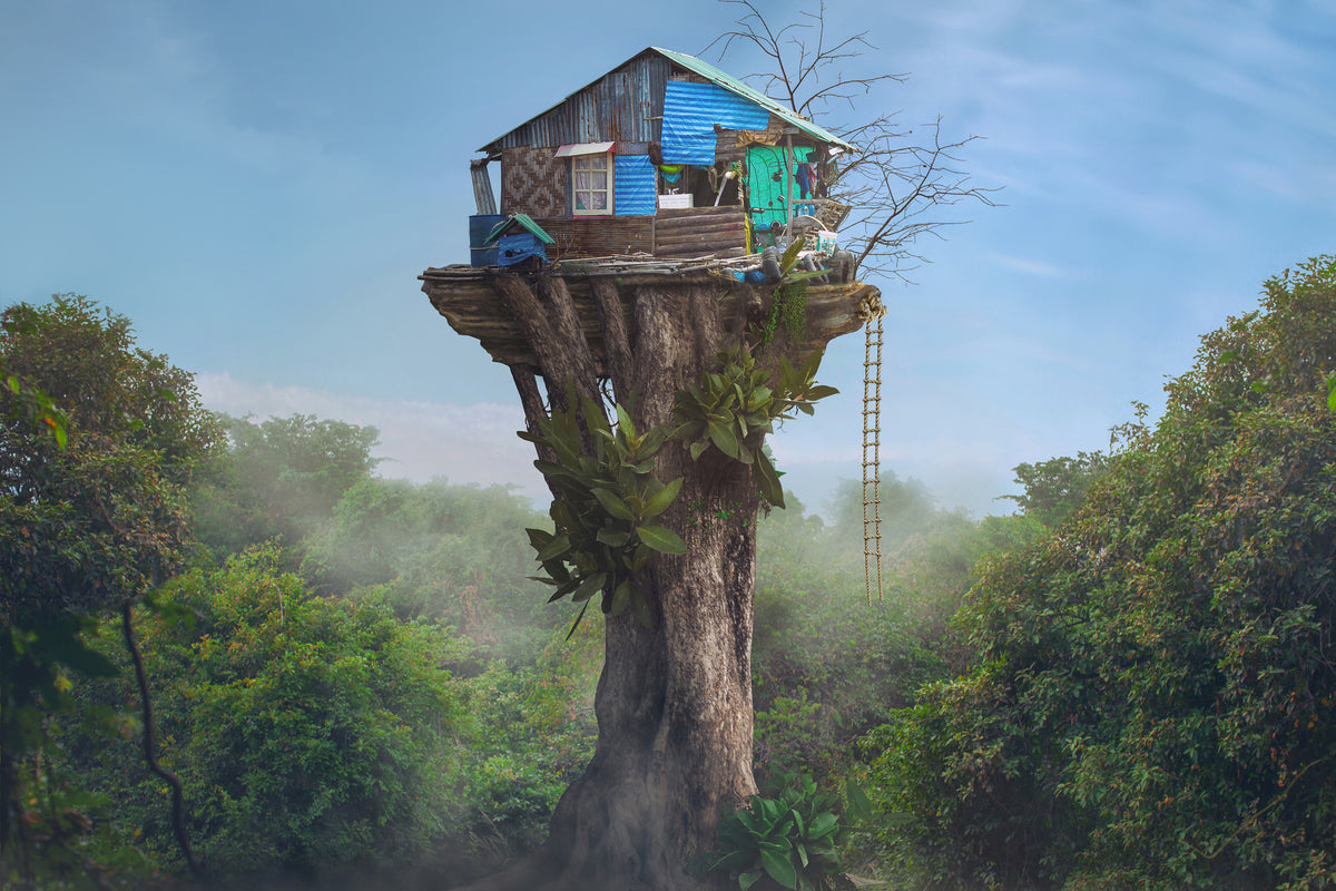 poster-print-house-in-the-sky
