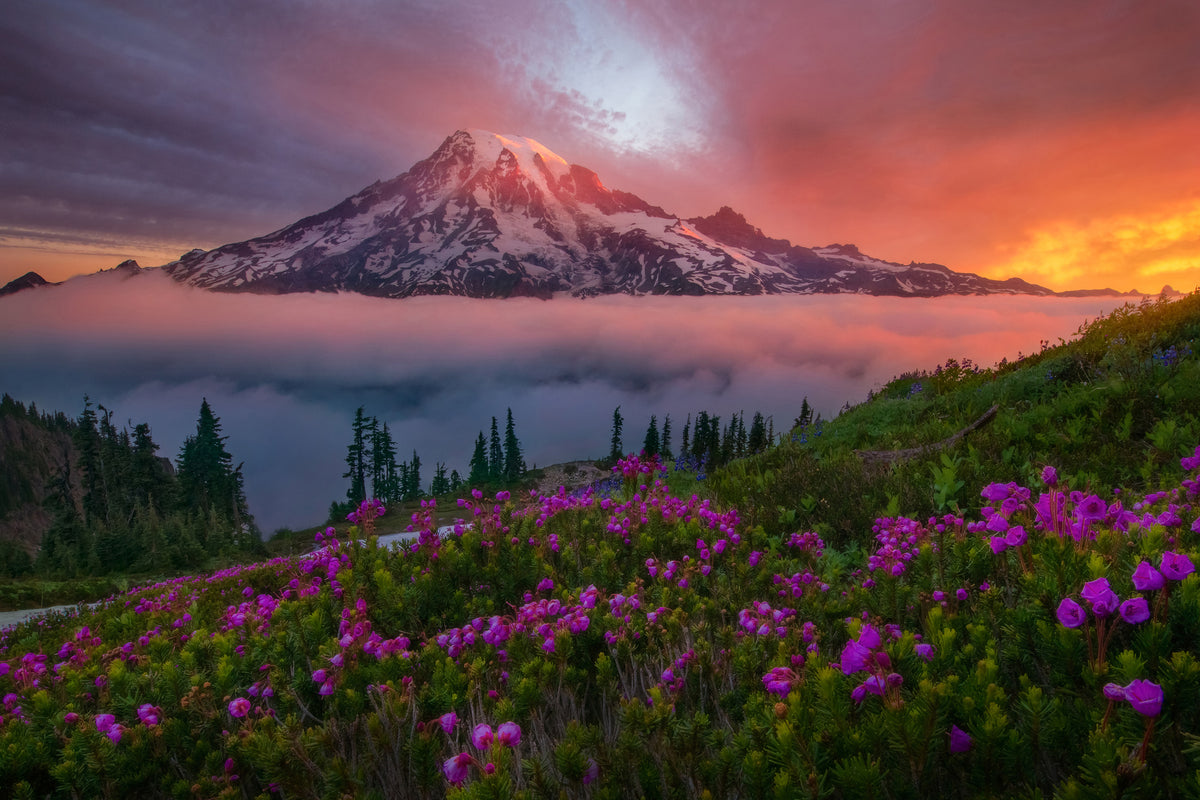 framedcanvas-print-a-moment-in-time
